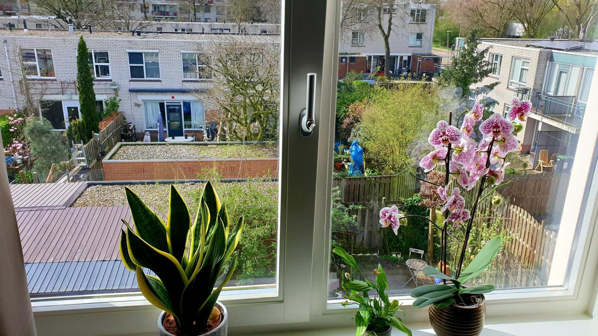 Amor Guesthouse Amsterdam Bagian luar foto